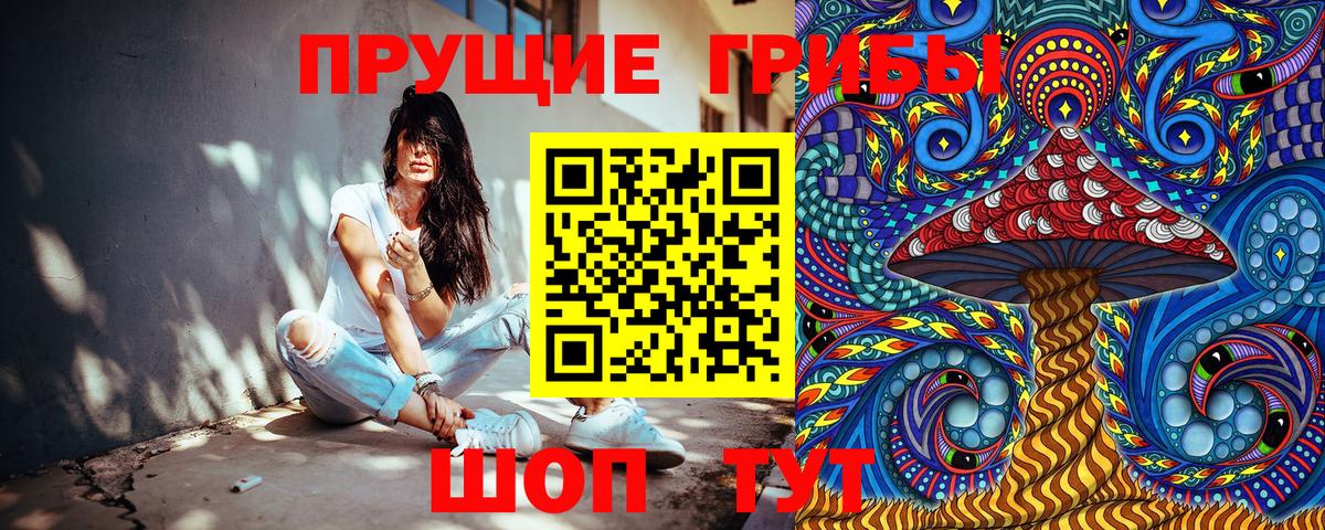 Псилоцибиновые грибы GOLDEN TEACHER  Вход с VPN  Богородск 